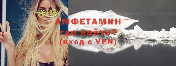гидра Алексеевка