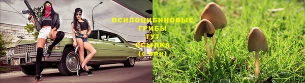 гидра Алексеевка