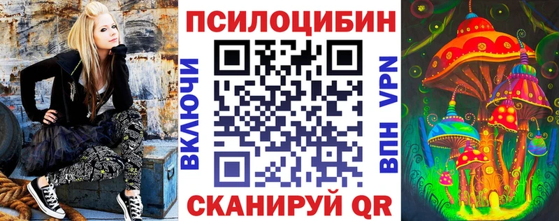 Псилоцибиновые грибы Cubensis Межгорье